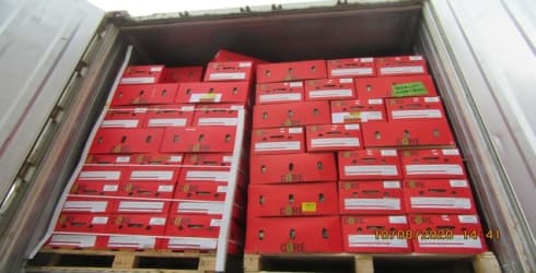 Palletized boxed cargo inside shipping container